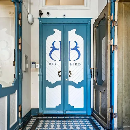 Blue Bird In Old Town Ryga
