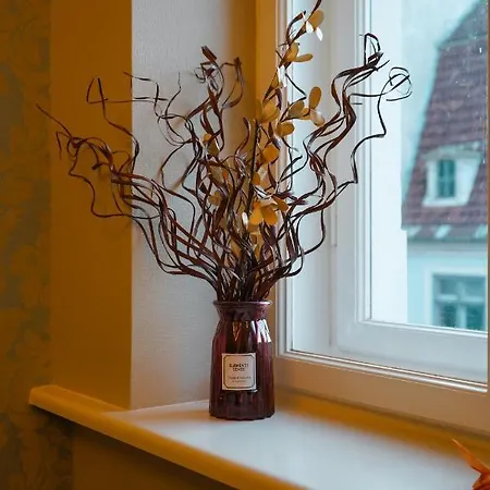 Blue Bird Boutique - Old Town Riga