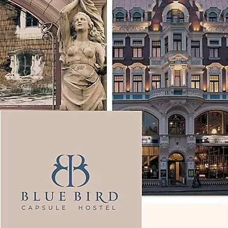 Blue Bird Boutique - Old Town *